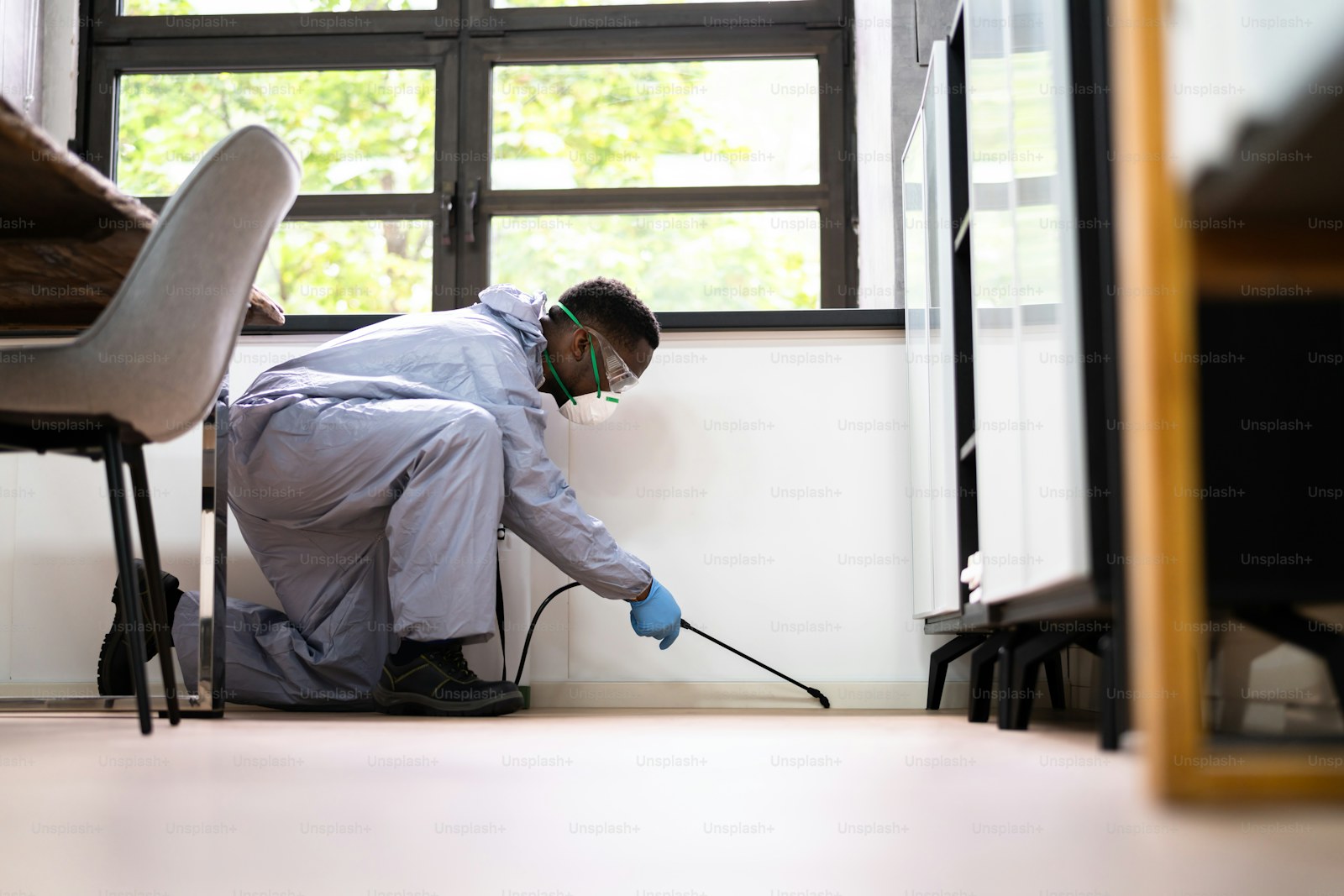 A tidy residential interior for household pest prevention